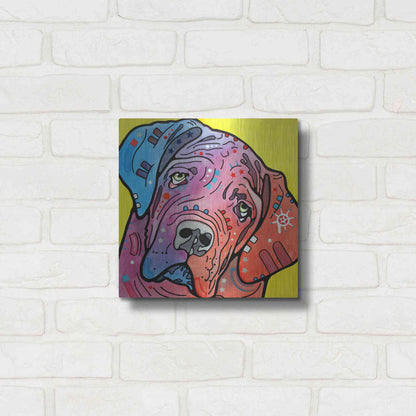 Luxe Metal Art 'The Bully' by Dean Russo, Metal Wall Art,12x12