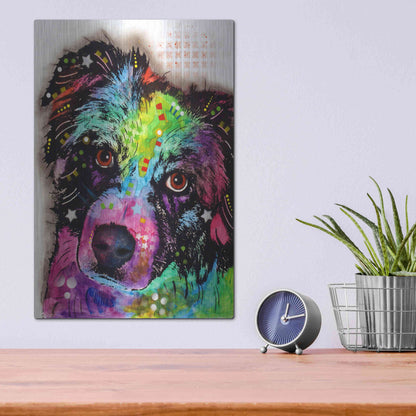 Luxe Metal Art 'Aussie' by Dean Russo, Metal Wall Art,12x16