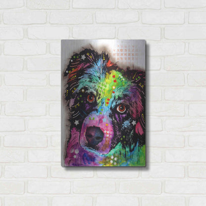 Luxe Metal Art 'Aussie' by Dean Russo, Metal Wall Art,16x24