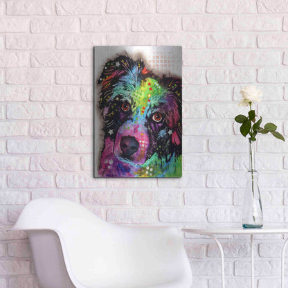 Luxe Metal Art 'Aussie' by Dean Russo, Metal Wall Art,16x24