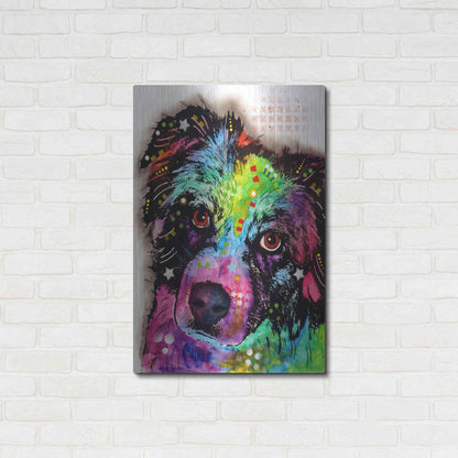 Luxe Metal Art 'Aussie' by Dean Russo, Metal Wall Art,24x36