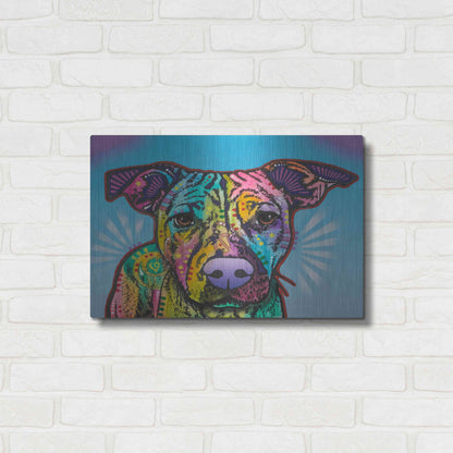 Luxe Metal Art 'Roo' by Dean Russo, Metal Wall Art,24x16