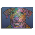 Luxe Metal Art 'Rocco ' by Dean Russo, Metal Wall Art