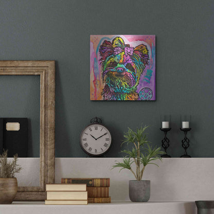 Luxe Metal Art 'Chloe Bear' by Dean Russo, Metal Wall Art,12x12