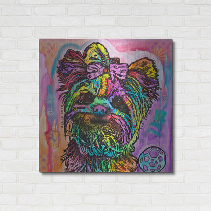 Luxe Metal Art 'Chloe Bear' by Dean Russo, Metal Wall Art,36x36