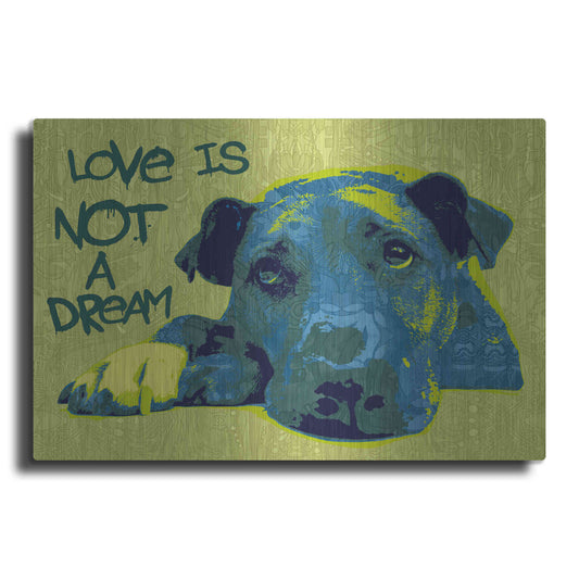 Luxe Metal Art 'Love Is Not A Dream' by Dean Russo, Metal Wall Art