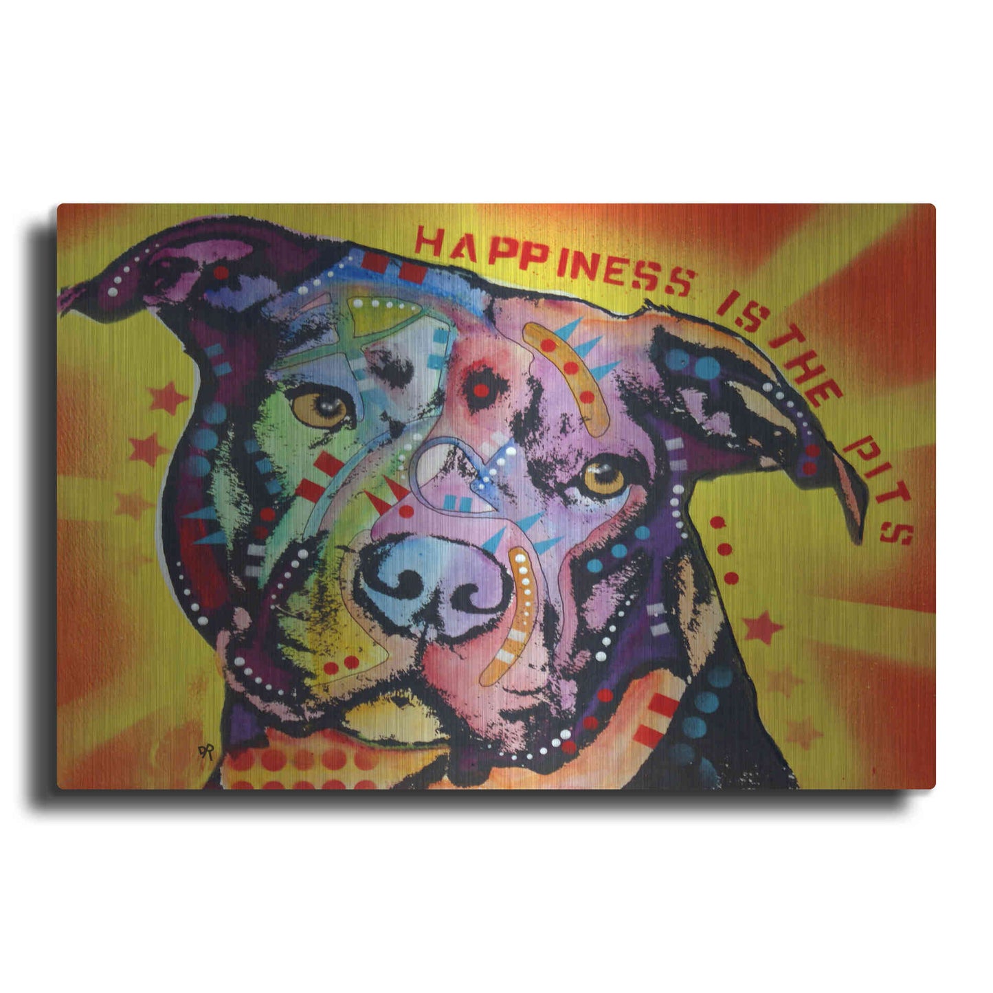 Luxe Metal Art 'Happiness Is The Pits Sunray' by Dean Russo, Metal Wall Art