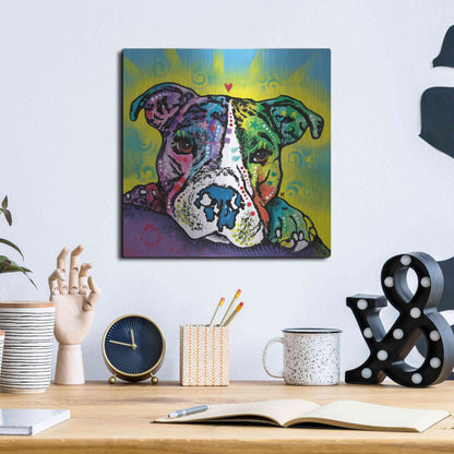 Luxe Metal Art 'The Baby Pit Bull' by Dean Russo, Metal Wall Art,12x12