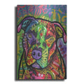 Luxe Metal Art 'Hank' by Dean Russo, Metal Wall Art