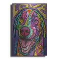 Luxe Metal Art 'Orion' by Dean Russo, Metal Wall Art
