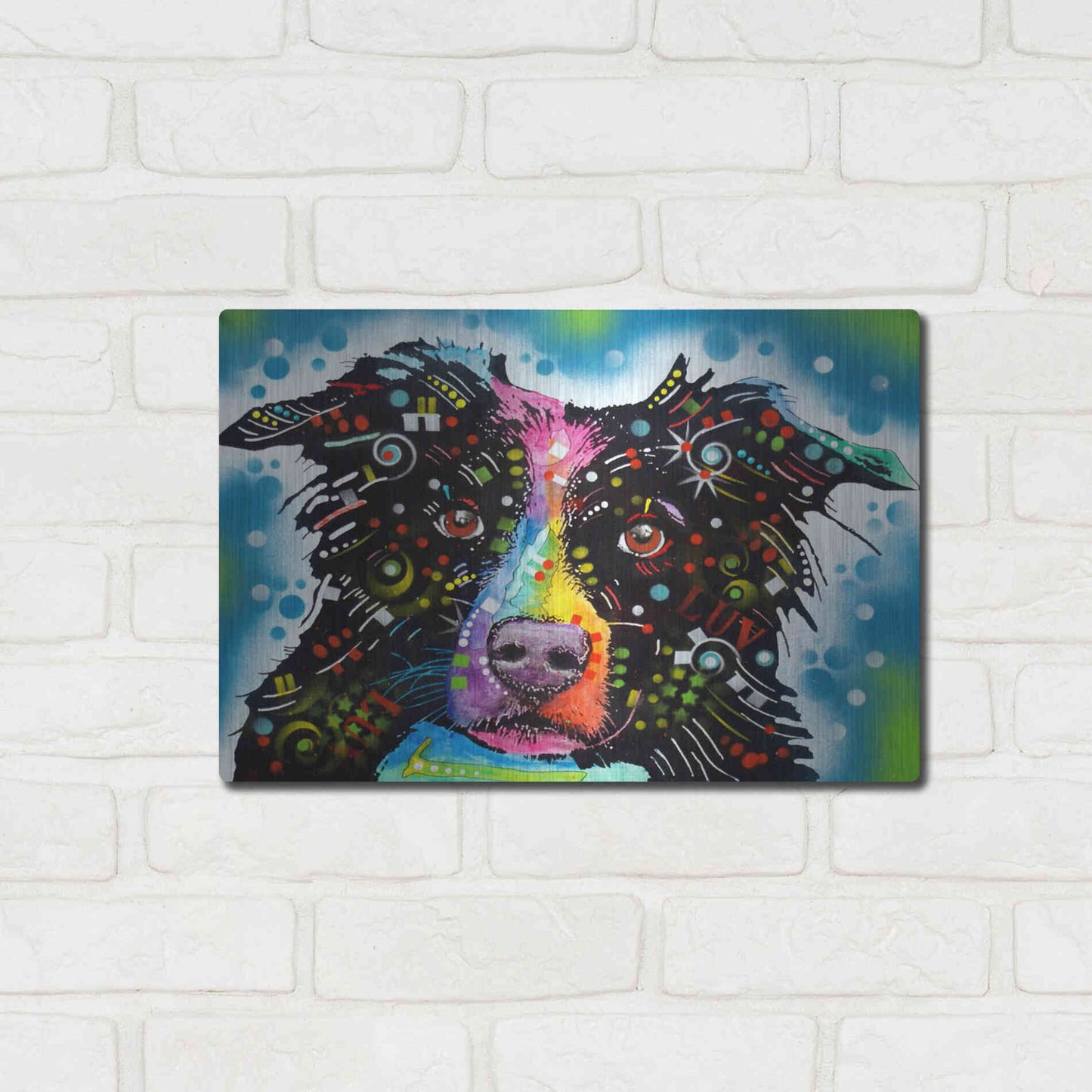 Luxe Metal Art 'Border Collie 3' by Dean Russo, Metal Wall Art,16x12