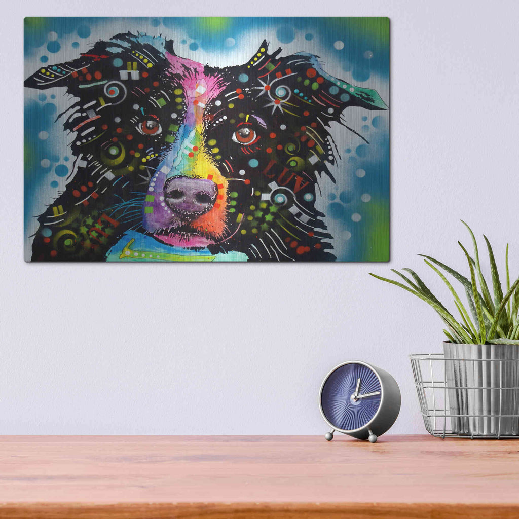 Luxe Metal Art 'Border Collie 3' by Dean Russo, Metal Wall Art,16x12