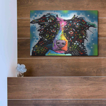 Luxe Metal Art 'Border Collie 3' by Dean Russo, Metal Wall Art,16x12