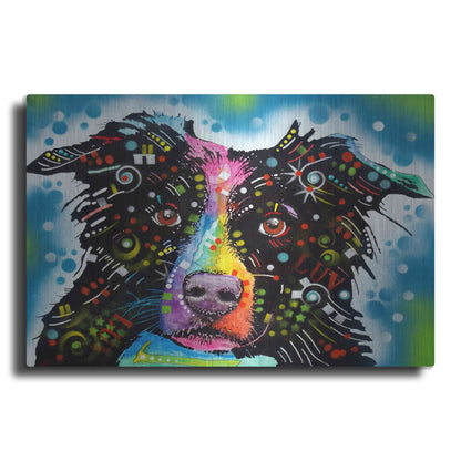 Luxe Metal Art 'Border Collie 3' by Dean Russo, Metal Wall Art