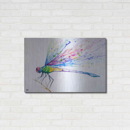 Luxe Metal Art 'Volant' by Marc Allante, Metal Wall Art,36x24