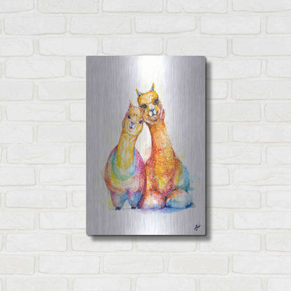 Luxe Metal Art 'Packa'Alpaca' by Marc Allante, Metal Wall Art,16x24