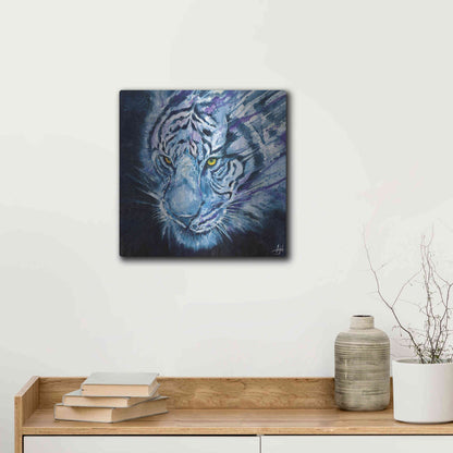 Luxe Metal Art 'Nightstalker' by Marc Allante, Metal Wall Art,12x12