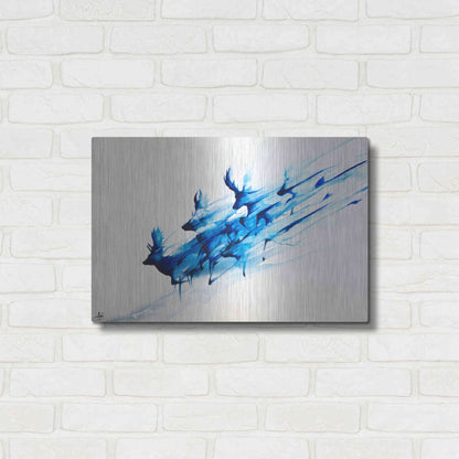 Luxe Metal Art 'Caligo' by Marc Allante, Metal Wall Art,24x16