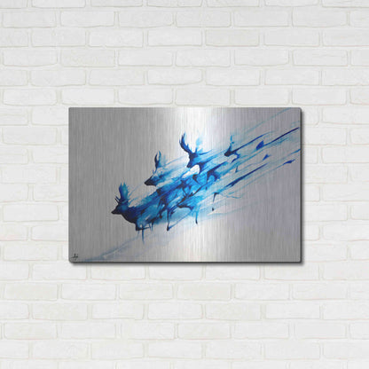 Luxe Metal Art 'Caligo' by Marc Allante, Metal Wall Art,36x24