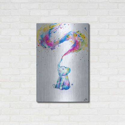 Luxe Metal Art 'Spring' by Marc Allante, Metal Wall Art,24x36