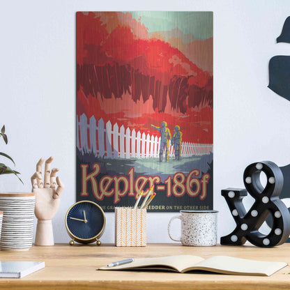 Luxe Metal Art 'Visions of the Future: Kepler-186f,' Metal Wall Art,12x16