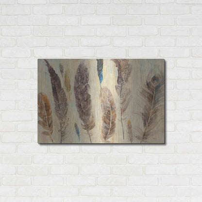 Luxe Metal Art 'Feather Study' by Albena Hristova, Metal Wall Art,36x24
