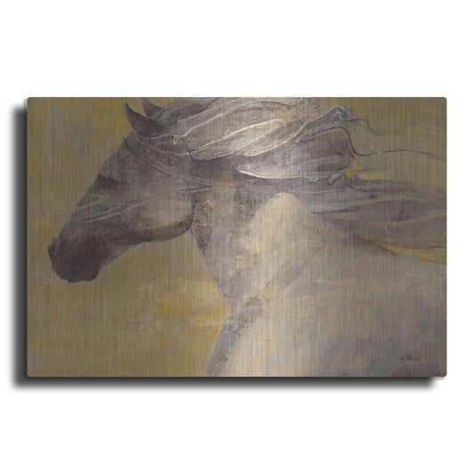 Luxe Metal Art 'Into the Wind' by Albena Hristova, Metal Wall Art