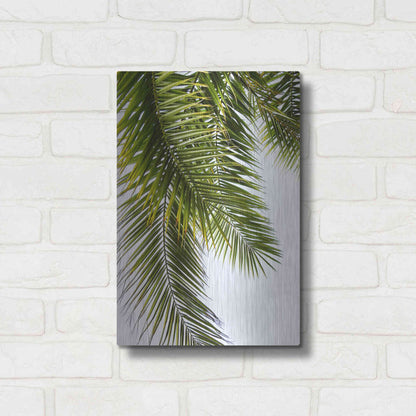 Luxe Metal Art 'Palm Leaves' by Lexie Greer,12x16