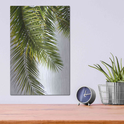 Luxe Metal Art 'Palm Leaves' by Lexie Greer,12x16