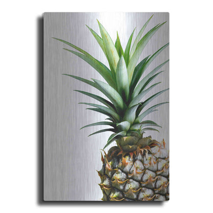 Luxe Metal Art 'Pineapple (color)' by Lexie Greer