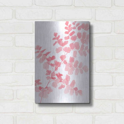 Luxe Metal Art 'Pink Maidenhair' by Lexie Greer,12x16