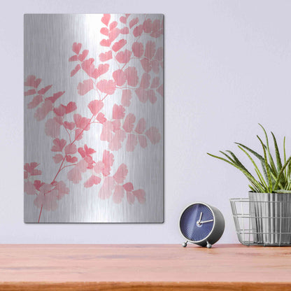 Luxe Metal Art 'Pink Maidenhair' by Lexie Greer,12x16