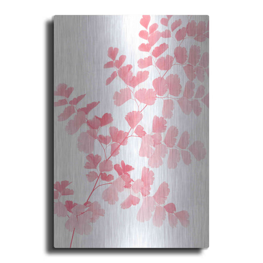 Luxe Metal Art 'Pink Maidenhair' by Lexie Greer