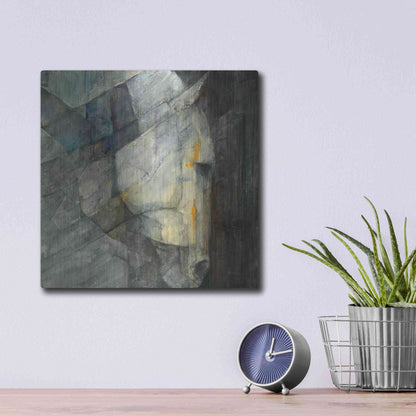 Luxe Metal Art 'Quiet' by Albena Hristova, Metal Wall Art,12x12