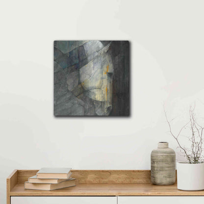 Luxe Metal Art 'Quiet' by Albena Hristova, Metal Wall Art,12x12