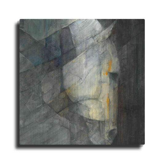 Luxe Metal Art 'Quiet' by Albena Hristova, Metal Wall Art