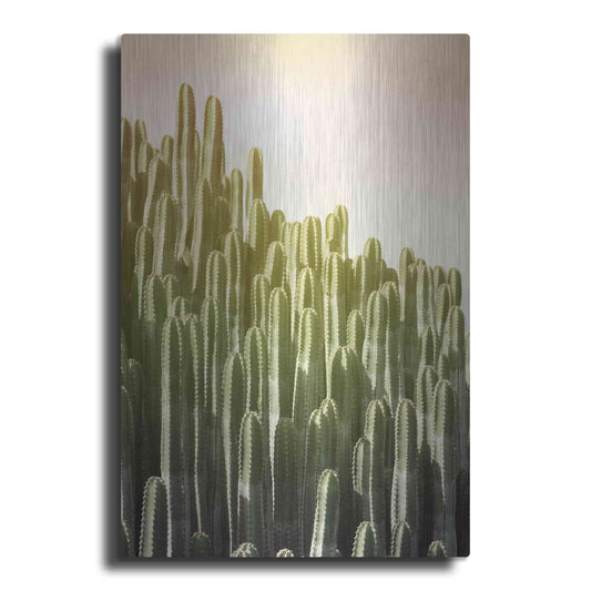 Luxe Metal Art 'Pink Sky Cactus' by Lexie Greer