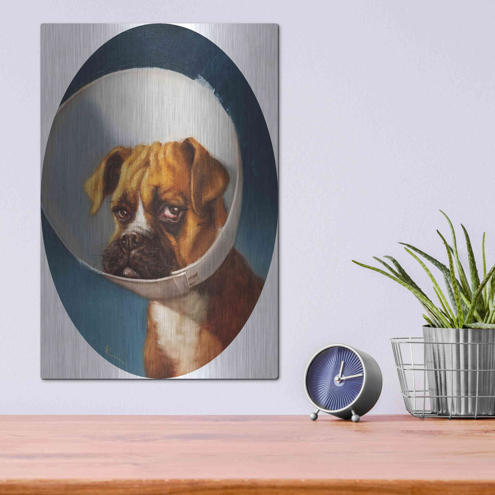 Luxe Metal Art 'Cone of Shame' by Lucia Heffernan,12x16