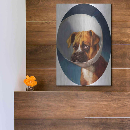 Luxe Metal Art 'Cone of Shame' by Lucia Heffernan,12x16