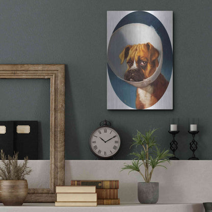 Luxe Metal Art 'Cone of Shame' by Lucia Heffernan,12x16