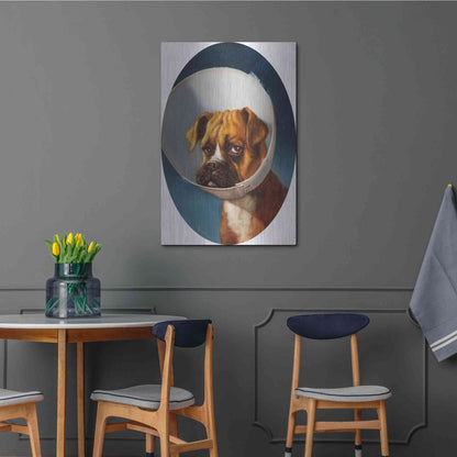 Luxe Metal Art 'Cone of Shame' by Lucia Heffernan,24x36