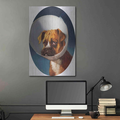 Luxe Metal Art 'Cone of Shame' by Lucia Heffernan,24x36