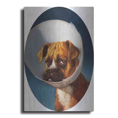 Luxe Metal Art 'Cone of Shame' by Lucia Heffernan