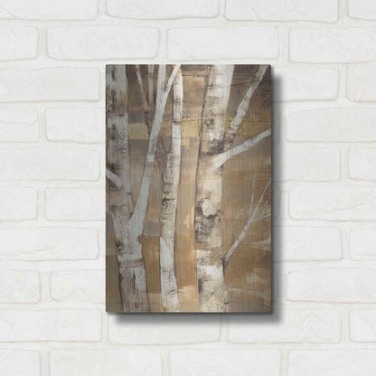 Luxe Metal Art 'Wandering Through the Birches II' by Albena Hristova, Metal Wall Art,12x16