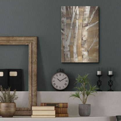 Luxe Metal Art 'Wandering Through the Birches II' by Albena Hristova, Metal Wall Art,12x16