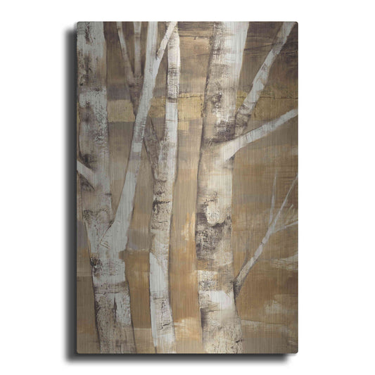 Luxe Metal Art 'Wandering Through the Birches II' by Albena Hristova, Metal Wall Art