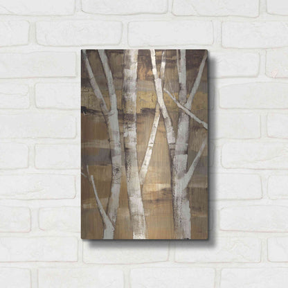Luxe Metal Art 'Wandering Through the Birches I' by Albena Hristova, Metal Wall Art,12x16