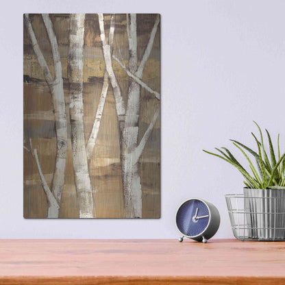 Luxe Metal Art 'Wandering Through the Birches I' by Albena Hristova, Metal Wall Art,12x16