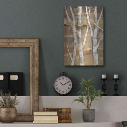 Luxe Metal Art 'Wandering Through the Birches I' by Albena Hristova, Metal Wall Art,12x16