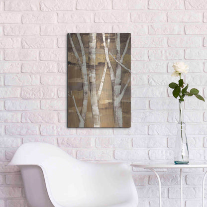 Luxe Metal Art 'Wandering Through the Birches I' by Albena Hristova, Metal Wall Art,16x24
